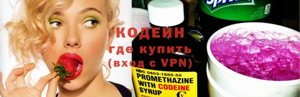 хмурый Лиски