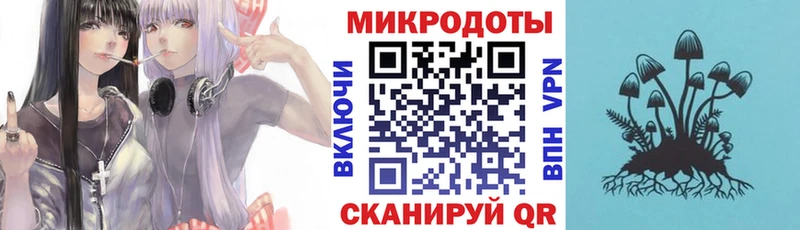 Псилоцибиновые грибы прущие грибы  Стародуб 
