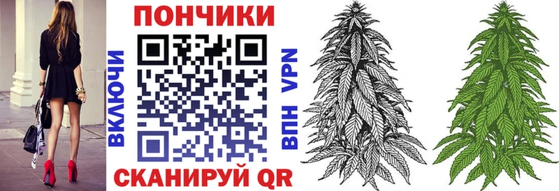 Шишки марихуана LSD WEED где купить наркоту hydra зеркало Стародуб